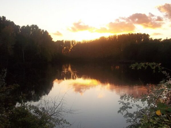Tagebau Teich